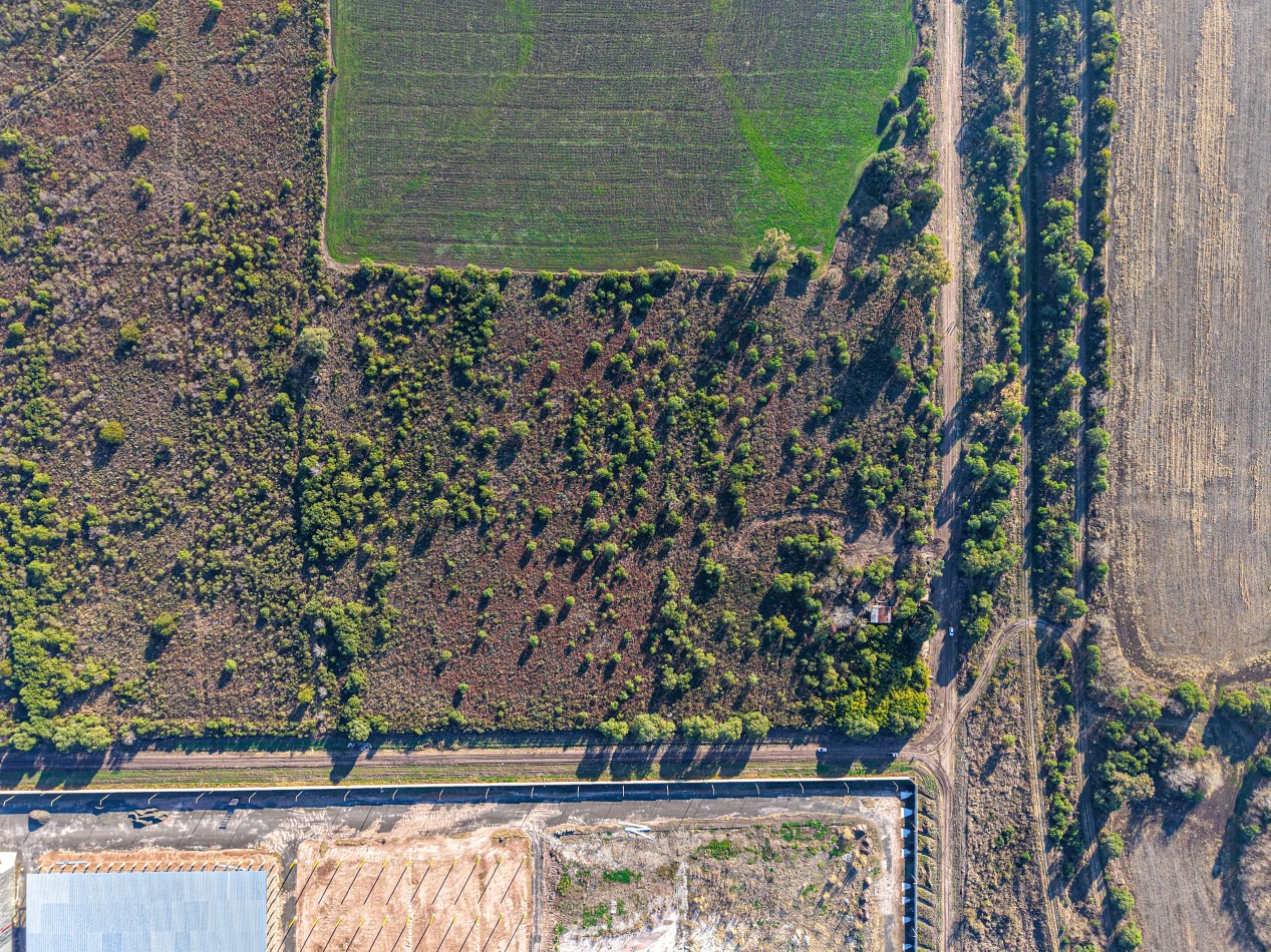 VENTA DE CAMPO - COLONIA AVELLANEDA - OPORTUNIDAD INVERSORES