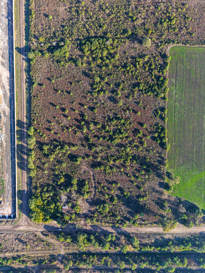 VENTA DE CAMPO - COLONIA AVELLANEDA - OPORTUNIDAD INVERSORES