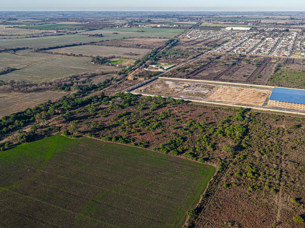 VENTA DE CAMPO - COLONIA AVELLANEDA - OPORTUNIDAD INVERSORES