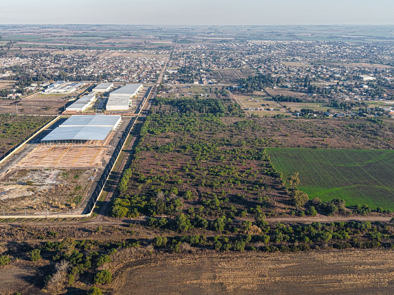 VENTA DE CAMPO - COLONIA AVELLANEDA - OPORTUNIDAD INVERSORES