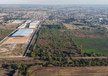 VENTA DE CAMPO - COLONIA AVELLANEDA - OPORTUNIDAD INVERSORES