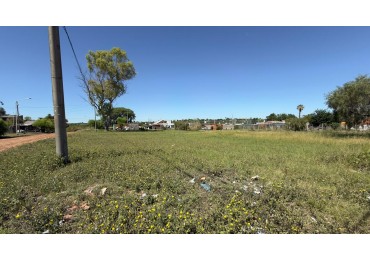 EN VENTA TERRENO EN SAN BENITO - OPORTUNIDAD UNICA