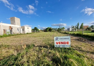 TERRENO EN VENTA! ORO VERDE!